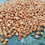 Jak prawidłowo ugotować kaszę gryczaną, aby się rozpadła: metoda, która zmieni Twoje podejście do owsianki jak-prawidlowo-ugotowac-kasze-gryczana-aby-sie-rozpadla-metoda-ktora.jpg